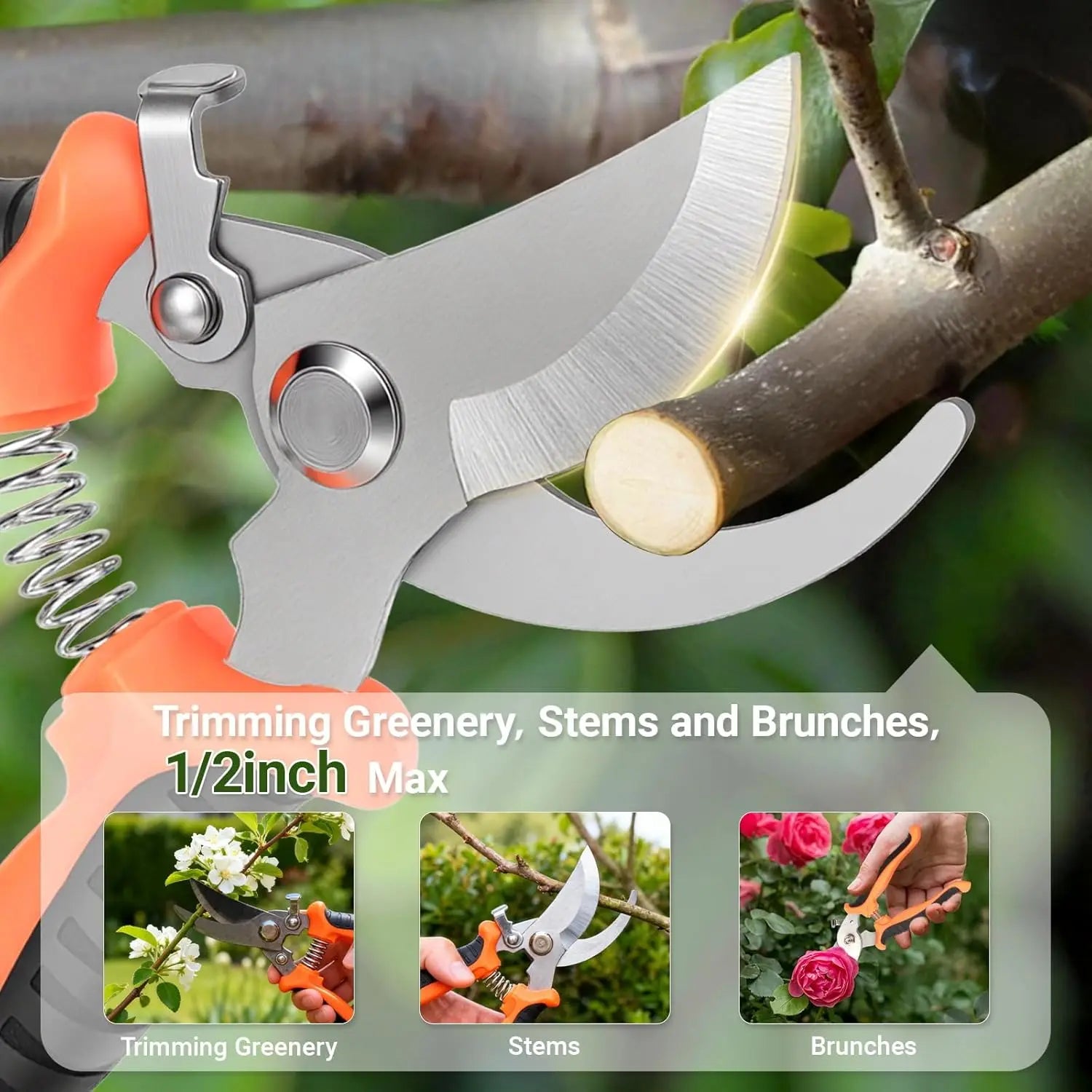 Premium Pruning Shears for Rose Bushes, 7.5IN Garden Clippers with Stainless Steel Blades, Effortless Cutting & Soft Grip